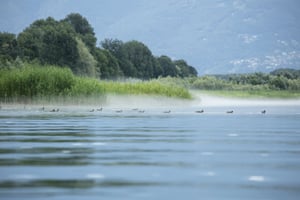 Blasen-Magadino-Luca Crivelli-1