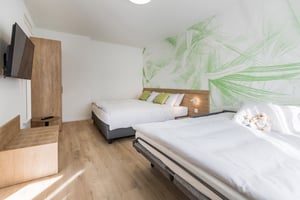 Wohnung 1.5 Hotel Campofelice